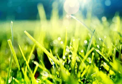 Springtime of Prayers