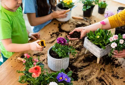 Ways to Customize Mission Friends Interest Areas for Your Group