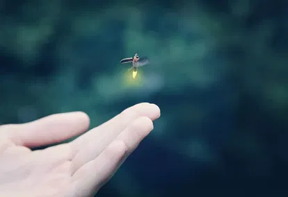Let Your Light Shine Let Your Light Shine