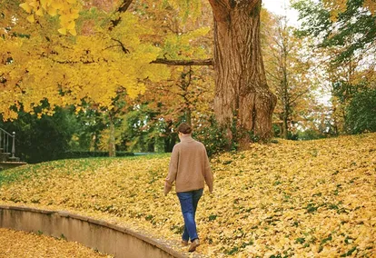 Walking in Singleness: God Remains Near and God Remains at Work Walking in Singleness: God Remains Near and God Remains at Work