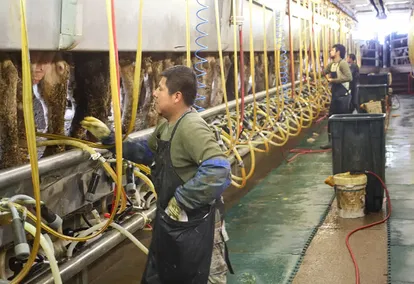 Foundations of Faith: Chaplaincy Ministry Takes Gospel to Dairy Workers