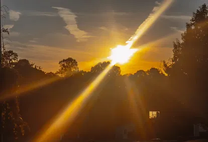 The Light of Christ The Light of Christ